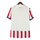 Camisa Paraguai I 2026 Torcedor