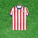 Camisa Paraguai I 2026 Torcedor